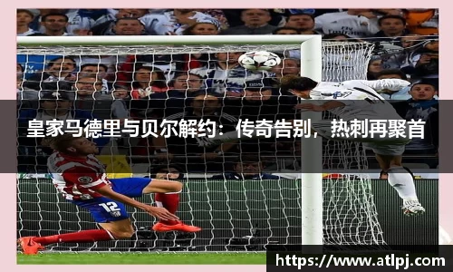 bsports官网入口
