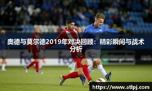bsports官网入口